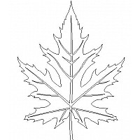 maple leaf single